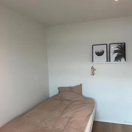 公寓 Modern With A View! Free Parking